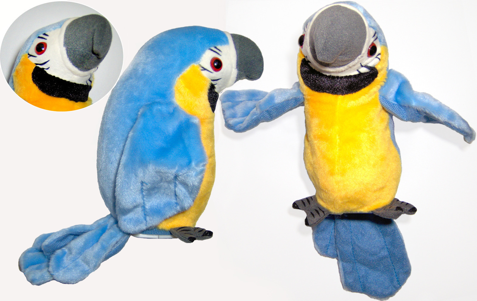 20211217093601_loutrinos_papagalos_birdie_pou_milaei_mimeitai_kai_kounaei_ta_ftera_tou_35cm_me_mpataries