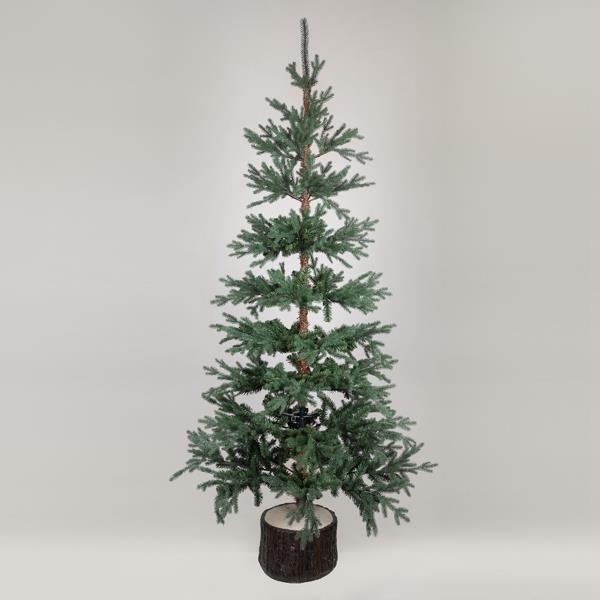 f7367e967e5748ba805b894844630003