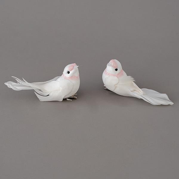 1bbef04505214c118339615e955c29b3