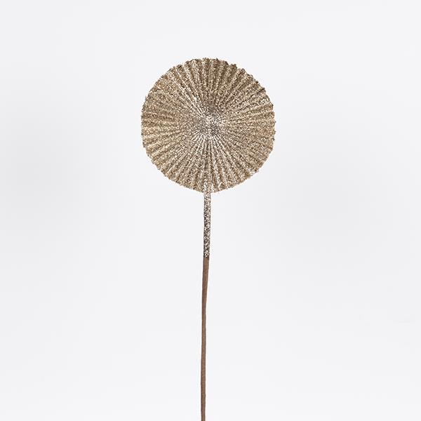 59b0fdac03174dc7bc5b5e5b80b6bf74