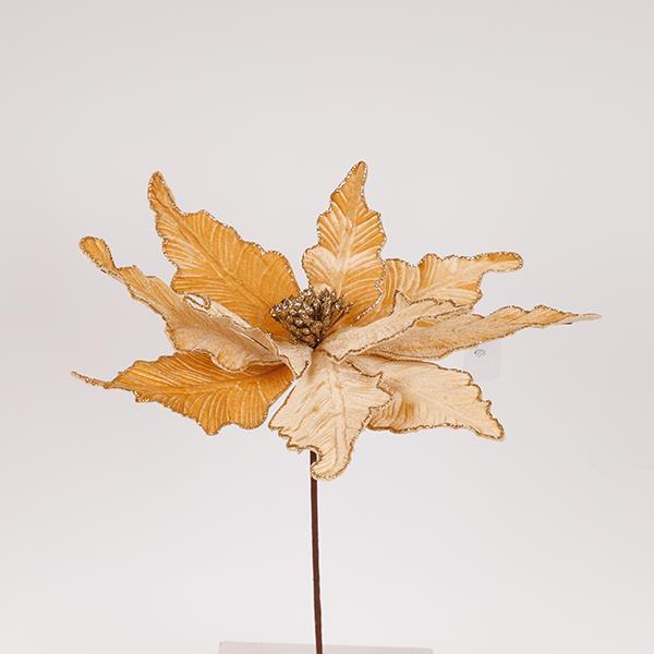 b3ae6796c35a41f2a015f0a6b1d569c7