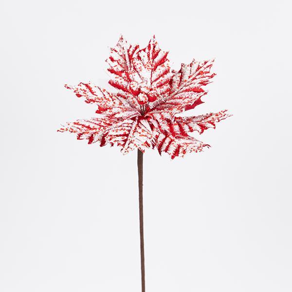 bc5c3719d29549be8c50ce0169d00f6d