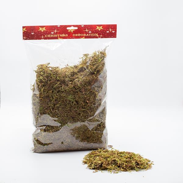 c208eb5cee934d24bfb95d2aad83525c