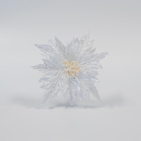 c7b2a0748e894959a76047c88b4cec09