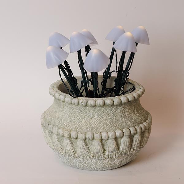 e6fed4c51ab94ea79f4b7fe7b9c14f52