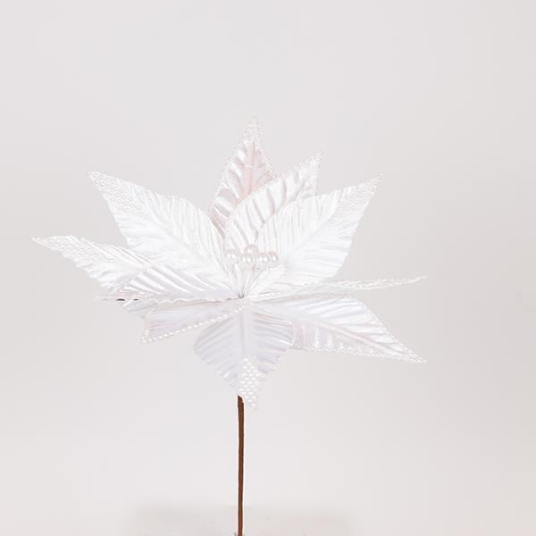 f0a0e1e1e2b94dcdb0301d675c37d22c