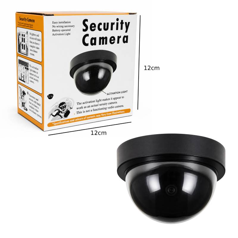 RolingerCamera1
